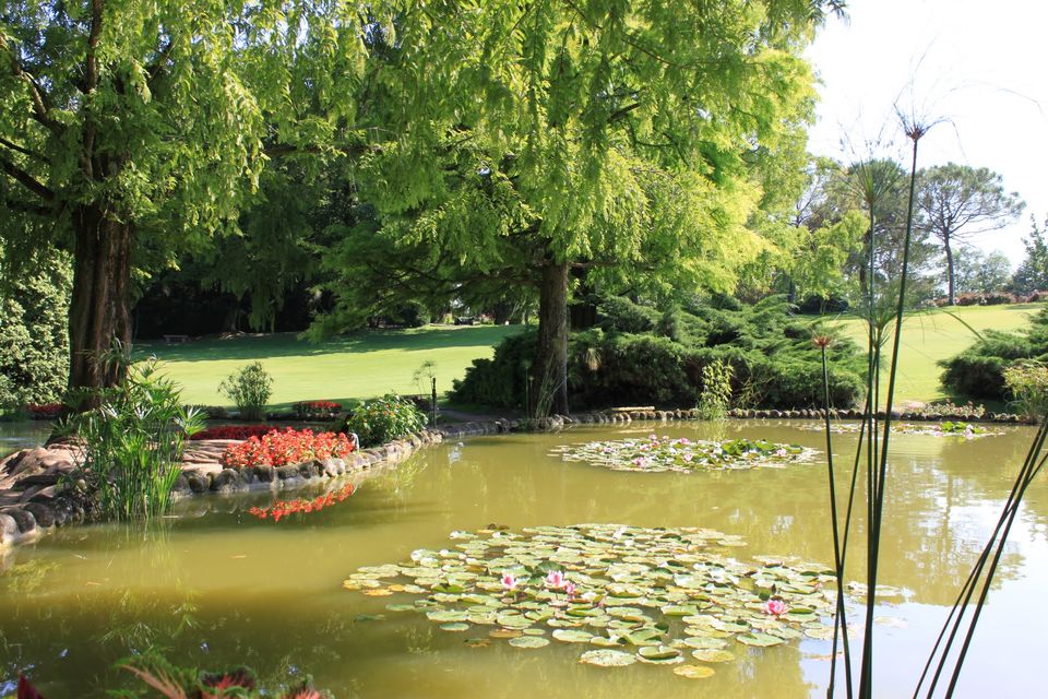 Un laghetto del Parco Giardino Sigurtà con ninfee, aiuole rosse e alberi davanti ai prati